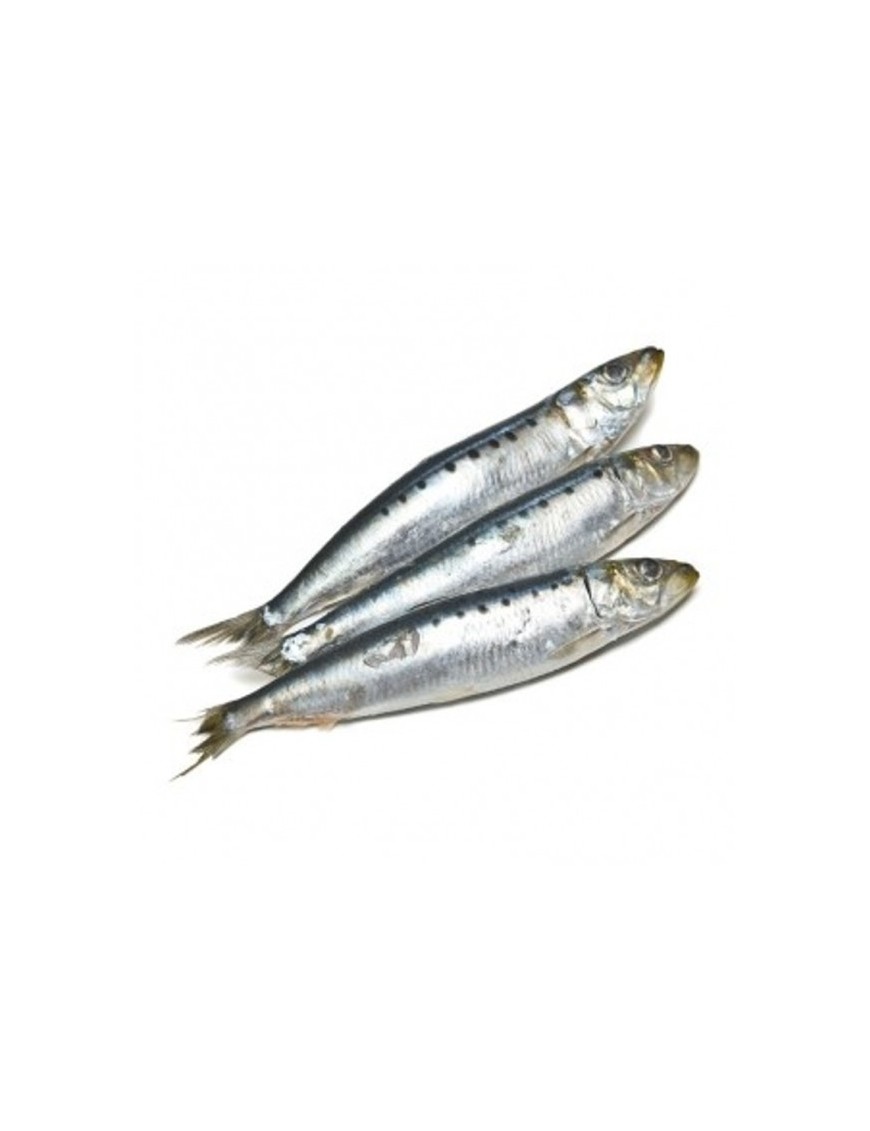 SARDINAS  FRESCA CANTABRICO.KG