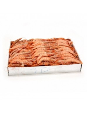 GAMBA COCIDA 110/120 OCEANO RFG.CAJA/500GR.