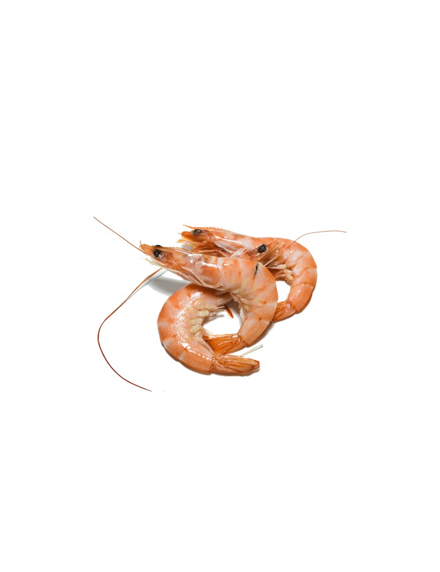 LANGOSTINO COCIDO 30/40 PESCA FINA.XKG