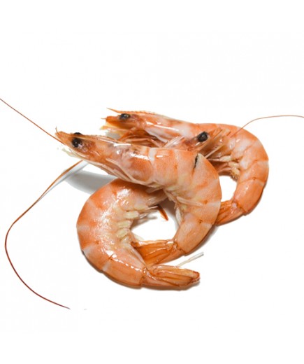 LANGOSTINO COCIDO 30/40 PESCA FINA.XKG