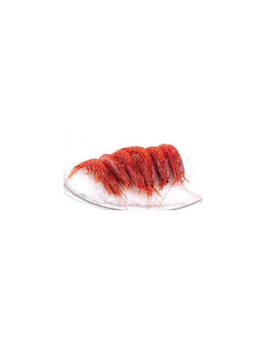 GAMBA ROJA COCIDA 60/80.SERP.PVP.X KG