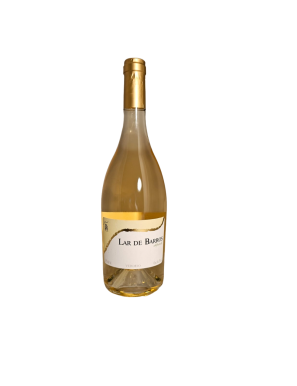 VINO VALDEORITE BLANCO VERDEJO AFRUTADO BOT/75CL