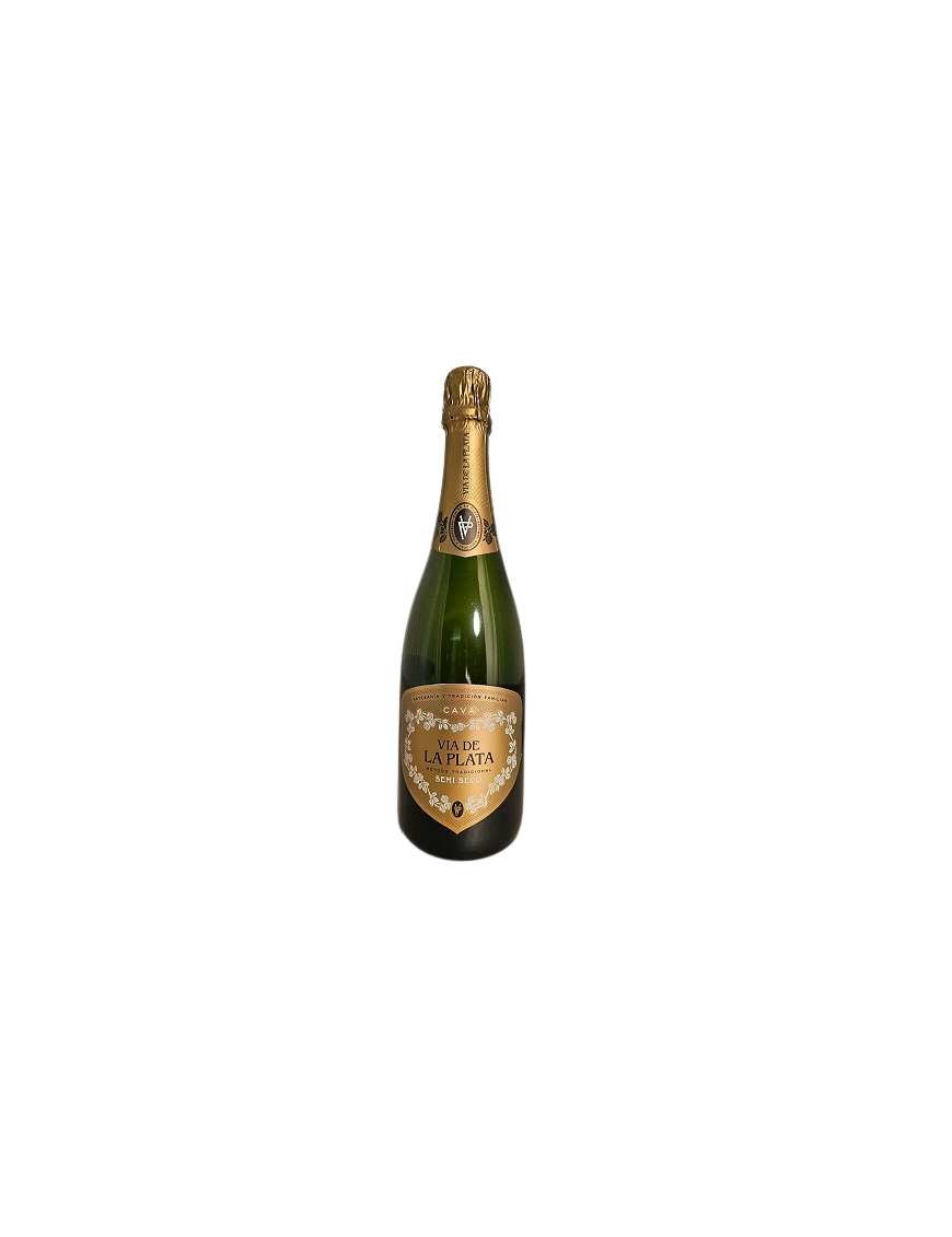 CAVA VIA DE LA PLATA SEMI SECO BOTELLA 75 CL