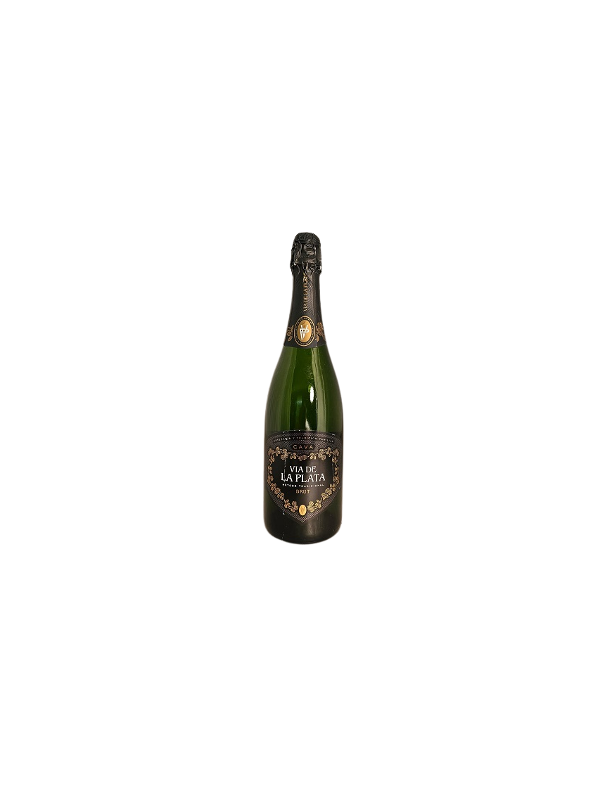 CAVA VIA DE LA PLATA BRUT BOTELLA 75 CL