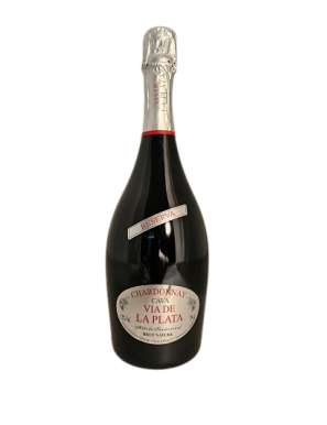 CAVA VIA DE LA PLATA BRUT NAT.CHD/RVA. ITALIA 75CL