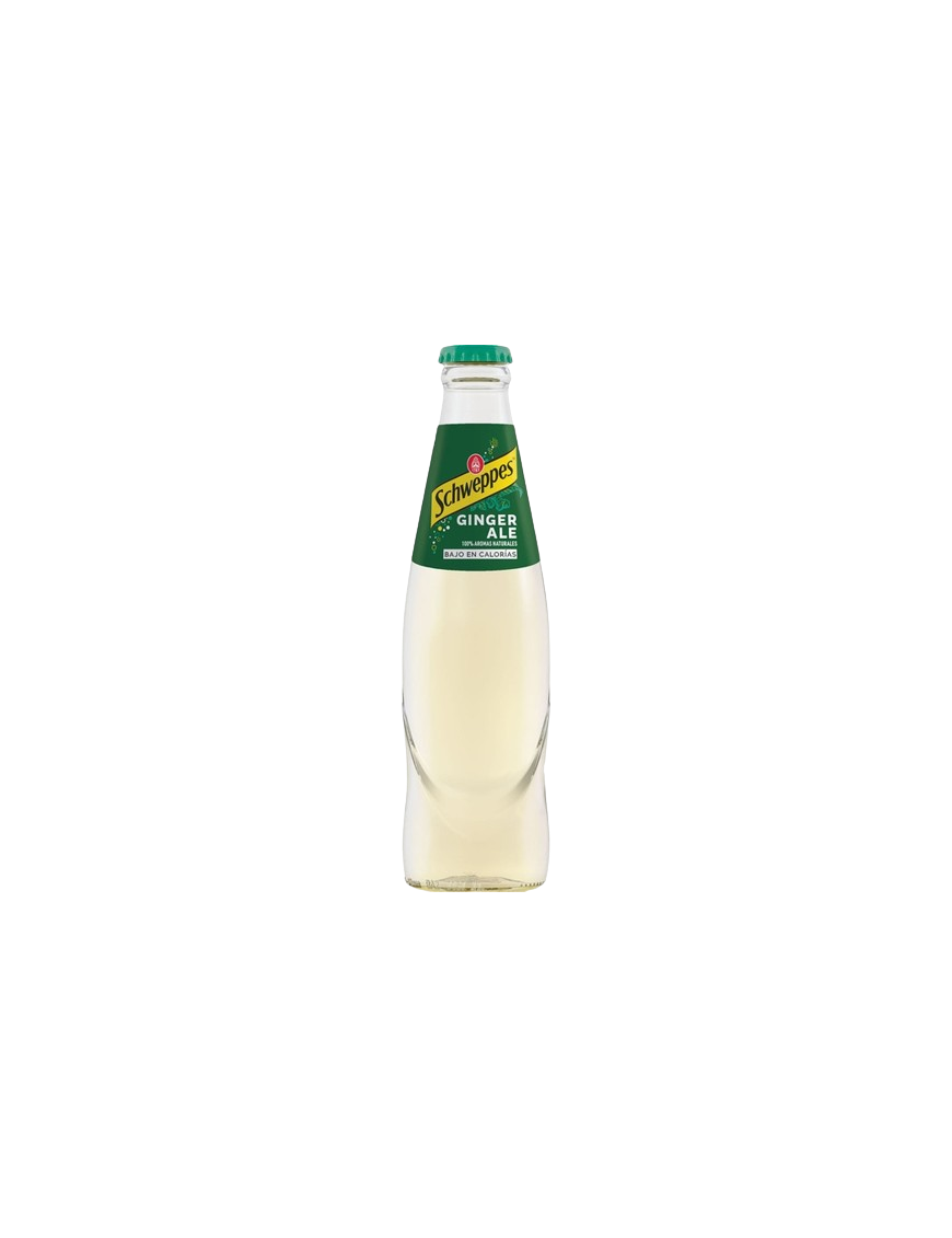 GINGER ALE SCHWEPPES VIDRIO N/RET B/20.CL.