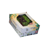 BROTES SAKURA MIX VARIADOS CAJA