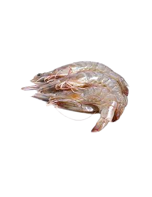 LANGOSTINO CRUDO 42/56 CORAL X KG.