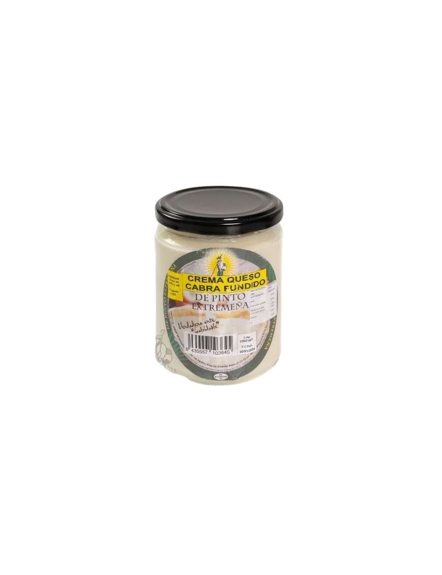 QUESO CREMA CABRA PINTO T/500G