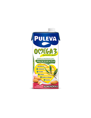 LECHE PULEVA OMEGA-3 CON ALMENDRAS BRICK 1 L