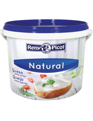 QUESO CREAM  CHEESE R/PICOT CUBO 2 KG