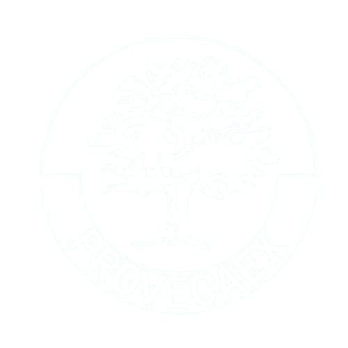 Logo Principal